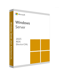 Windows Server 2025 RDS 1 Device